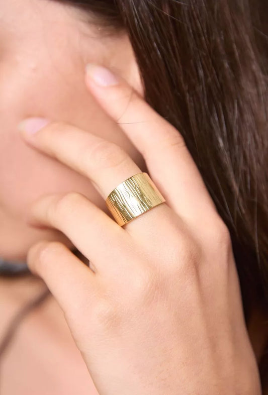 Bague acier inoxydable
